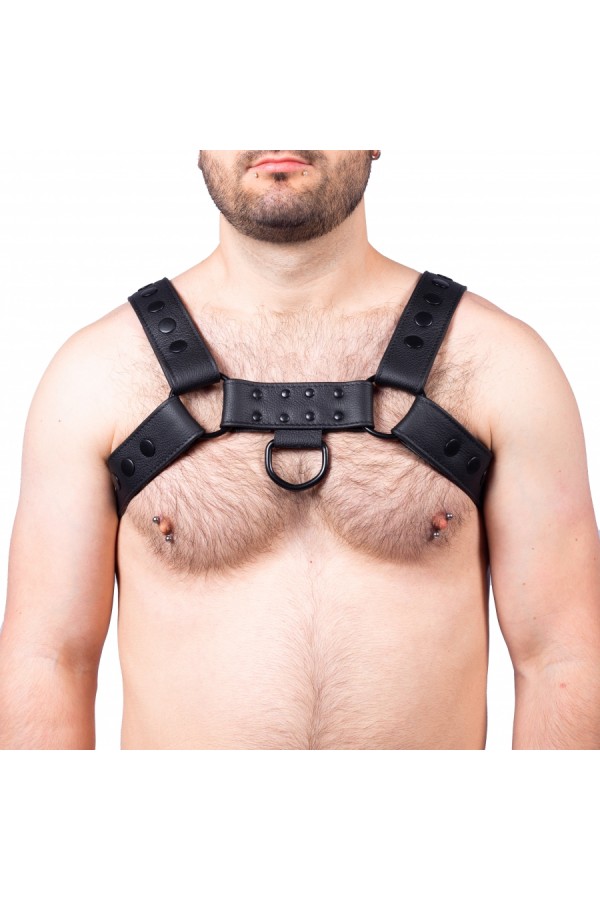 Harnesses / The Red Snap Leather Harness Black