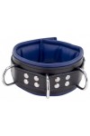 Collars / The Red Padded Leather Collar with D-Rings
