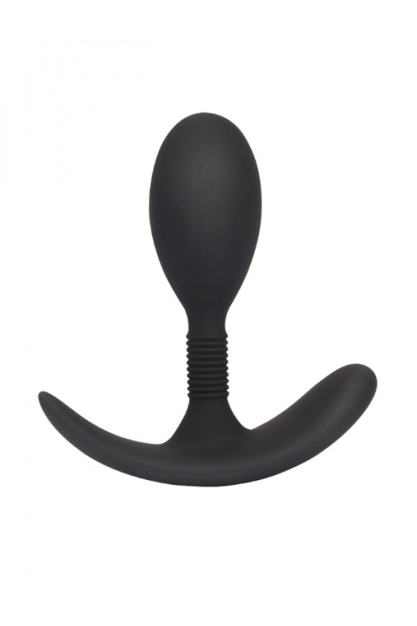 Butt Plugs / Chisa Anal Play Plug