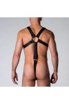 Harnesses / 665 Neoprene Full Harness