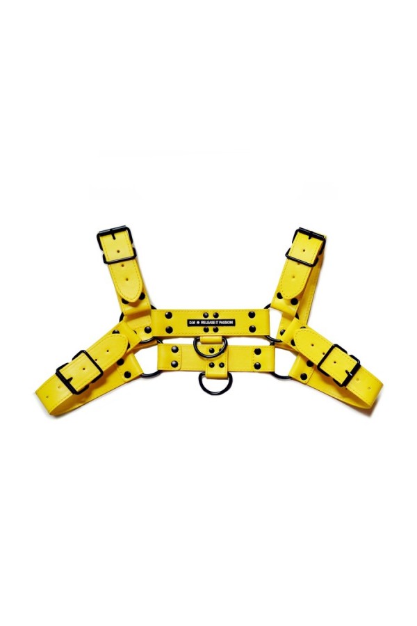 Harnesses / BDSMaster Chest All Harness