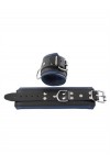 Wrist Restraints / Mister B Leather wrist restraints, color padding