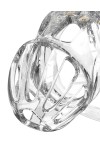 Chastity / Rimba P-Cage PC08 - Penis Cage Transparent