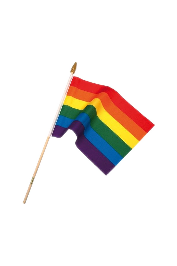 Flags / Mister B Rainbow flag on stick small