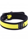 Collars / Kinky Puppy Puppy Play Neoprene Collar