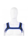 Harnesses / Kinky Puppy Neoprene Harness
