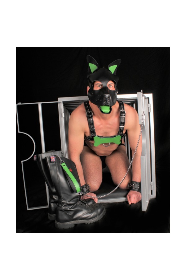Accessories / The Red Puppy Set Red Leather Ears and Tongue