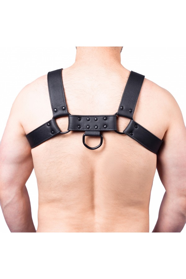 Harnesses / The Red Snap Leather Harness Black