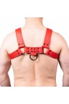 Harnesses / The Red Snap Leather Harness Red
