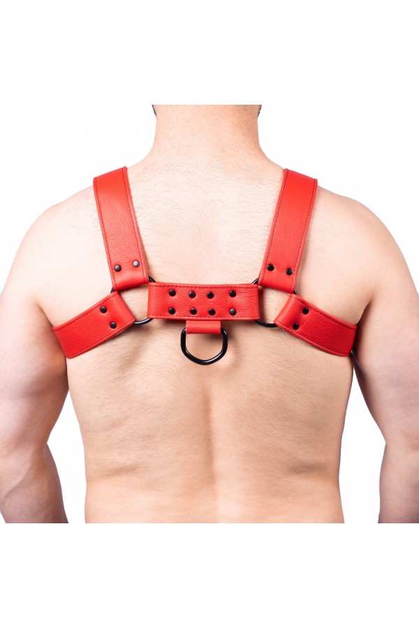 Harnessek / The Red Bulldog bőr harness - piros