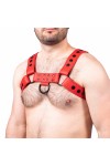 Harnesses / The Red Snap Leather Harness Red