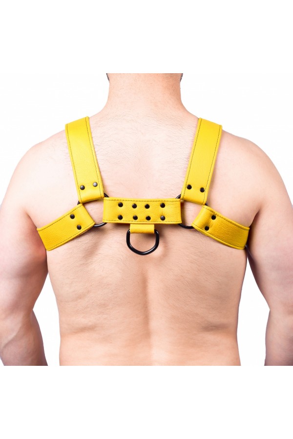 Harnesses / The Red Snap Leather Harness Yellow