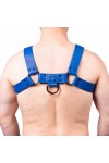 Harnesses / The Red Snap Leather Harness Blue