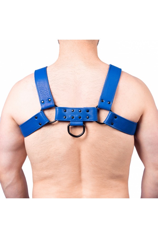 Harnessek / The Red Bulldog bőr harness - kék