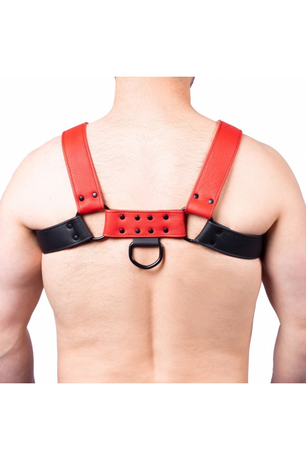 Harnessek / The Red Bulldog bőr harness - fekete piros
