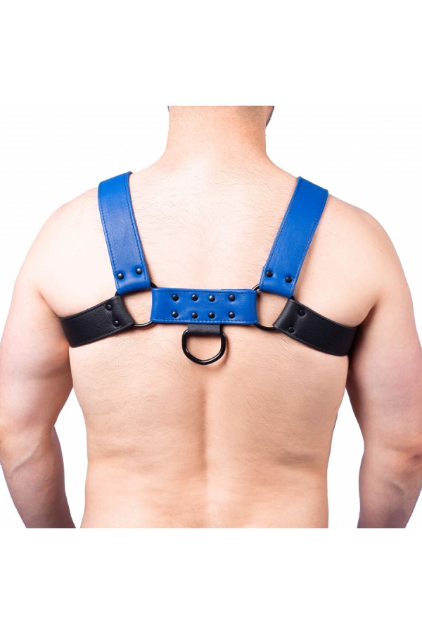 Harnessek / The Red Bulldog bőr harness - fekete kék