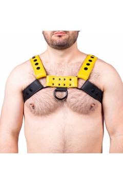 Harnessek / The Red Bulldog bőr harness - fekete sárga