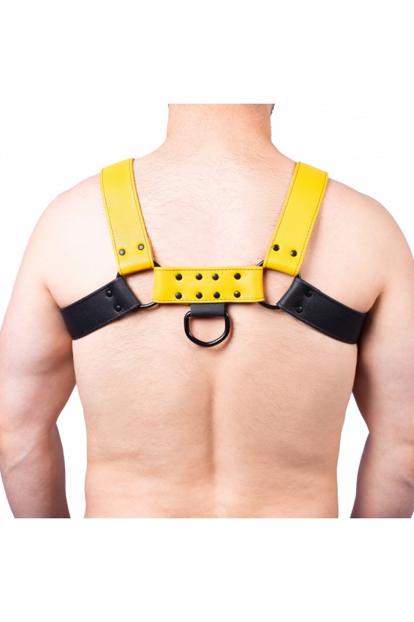 Harnesses / The Red Snap Leather Harness Black-Yellow