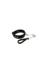 Collars / Kiotos Biothane Slave Collar with Leash