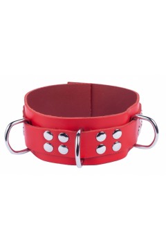 Collars / The Red Ultra Black Leather Collar