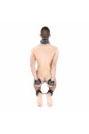 Collars / The Red Padded Leather Collar with D-Rings
