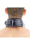 Collars / The Red Padded Leather Collar with D-Rings