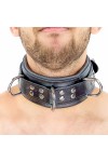 Collars / The Red Padded Leather Collar with D-Rings
