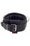 Collars / The Red Padded Leather Collar with D-Rings