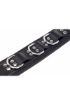 Collars / The Red Padded Leather Collar with D-Rings
