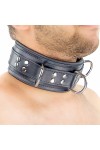 Collars / The Red Padded Leather Collar with D-Rings