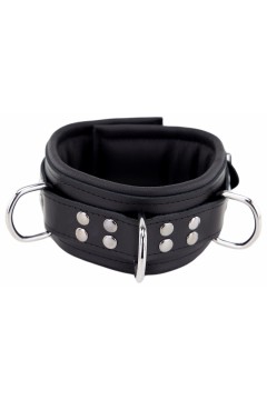 Collars / The Red Padded Leather Collar with D-Rings