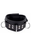 Collars / The Red Padded Leather Collar with D-Rings