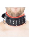 Collars / The Red Padded Leather Collar with D-Rings