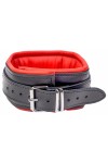 Collars / The Red Padded Leather Collar with D-Rings