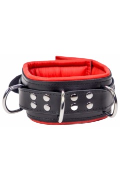 Collars / The Red Padded Leather Collar with D-Rings Collars / The Red Padded Leather Collar with D-Rings