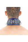 Collars / The Red Padded Leather Collar with D-Rings