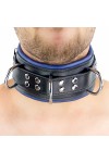 Collars / The Red Padded Leather Collar with D-Rings