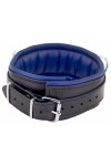 Collars / The Red Padded Leather Collar with D-Rings