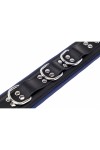 Collars / The Red Padded Leather Collar with D-Rings