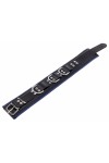 Collars / The Red Padded Leather Collar with D-Rings