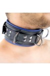 Collars / The Red Padded Leather Collar with D-Rings