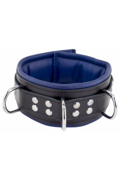 Collars / The Red Padded Leather Collar with D-Rings