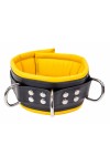 Collars / The Red Padded Leather Collar with D-Rings
