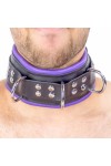Collars / The Red Padded Leather Collar with D-Rings