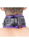 Collars / The Red Padded Leather Collar with D-Rings