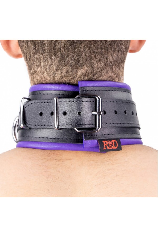 Collars / The Red Padded Leather Collar with D-Rings