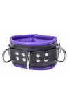 Collars / The Red Padded Leather Collar with D-Rings