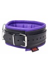 Collars / The Red Padded Leather Collar with D-Rings