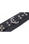 Ankle restraints / The Red Padded Leather Ankle Cuffs