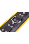 Ankle restraints / The Red Padded Leather Ankle Cuffs